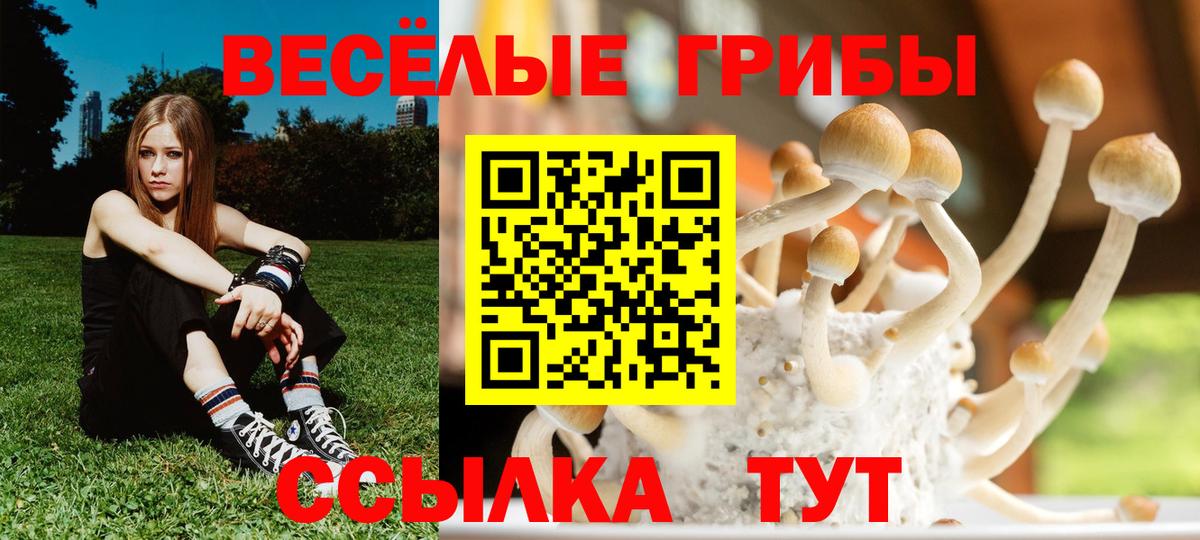 Галлюциногенные грибы Magic Shrooms  Вход с VPN  Псилоцибиновые грибы Psilocybe  Кемерово 